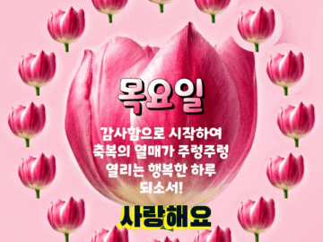 ◆ 하루의 행복 ◆