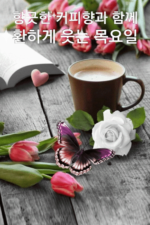 ◆ 이런 인연으로 살면 안될까요 ◆