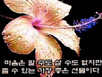 ◆ 그러니까 힘내! ◆