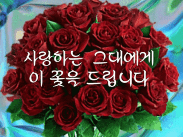 ◆ 미워하지 말고 잊어버려라 ◆