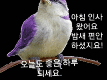 ◆ 주는 것은 아름답다 ◆