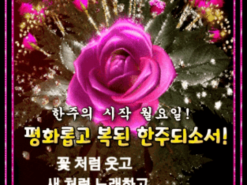 ◆ 마음이 맑아 지는 글 ◆