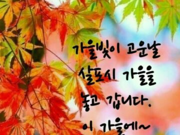 ◆ 당신이 나때문에 행복했으면 좋겠습니다 ◆