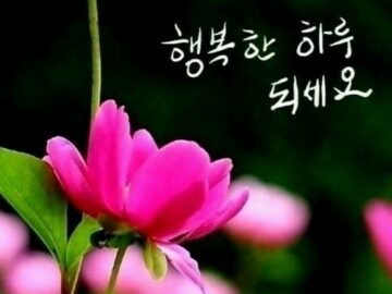 ◆ 삶의 끝에 와서야 알게 된 것들 ◆