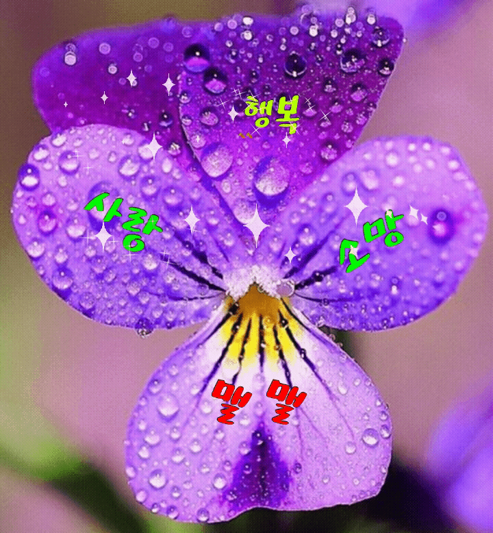 ◆ 이것 또한 지나가리라 ◆