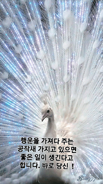 ◆ 마음 다스리기 ◆