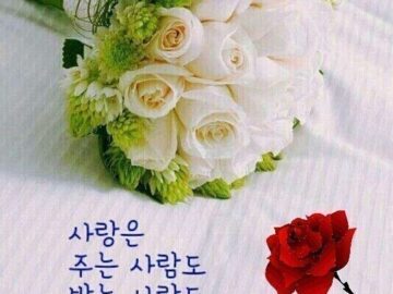 ◆ 그래 그렇게 사는거야 ◆