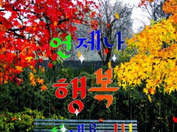 ◆ 인생에서 필요한 5가지 끈 ◆