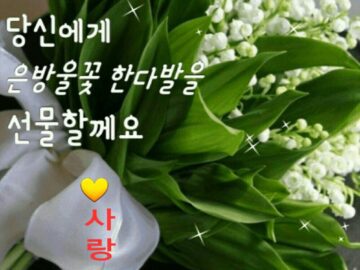 ◆ 매듭이 있다면 풀고 가세요 ◆