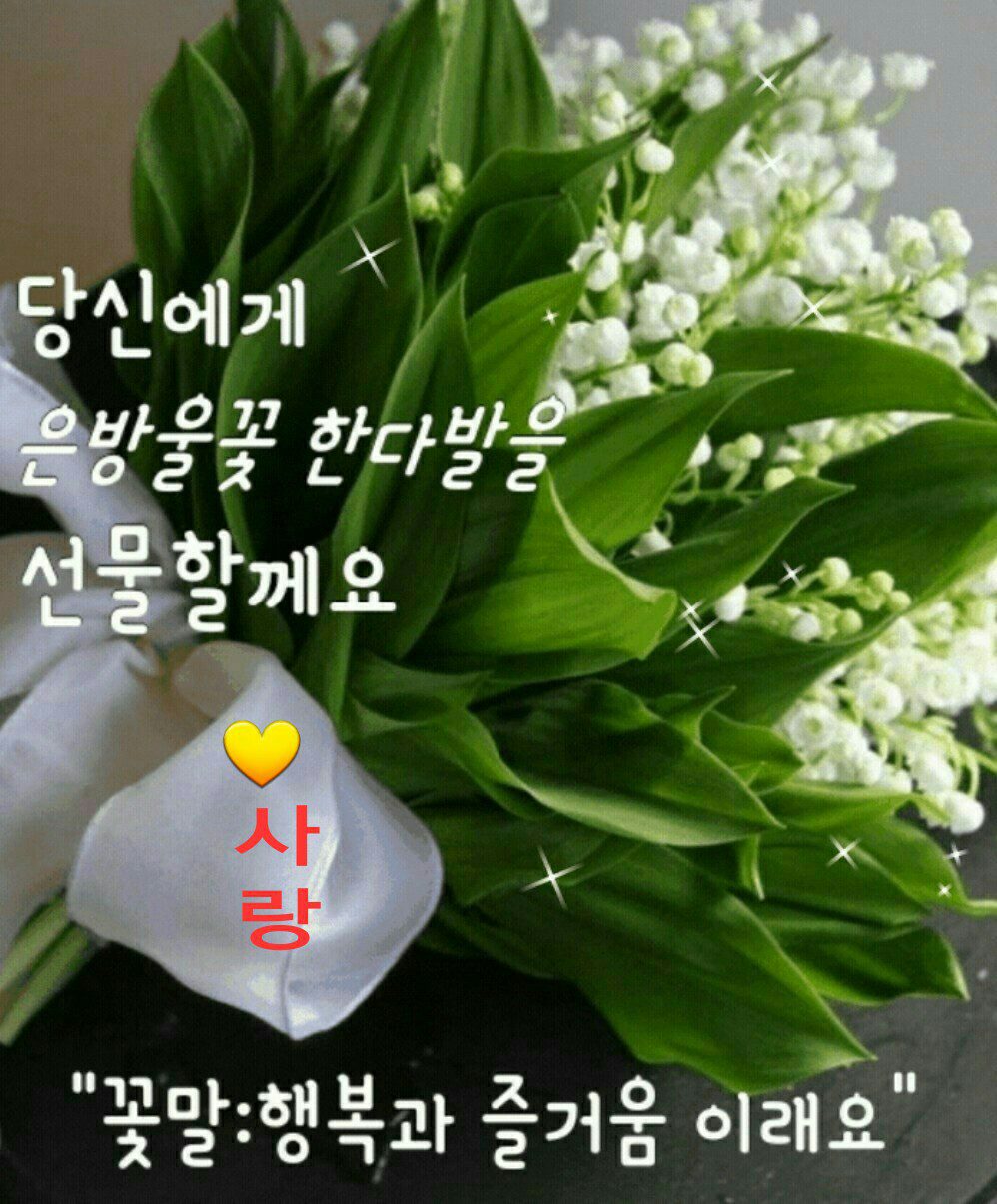 ◆ 매듭이 있다면 풀고 가세요 ◆