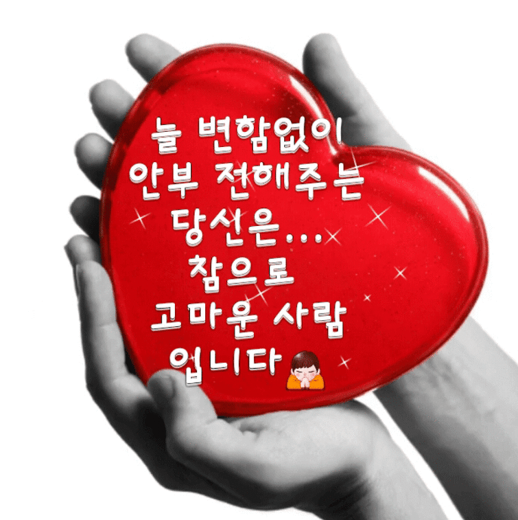 ◆ 내사랑을 어쩌겠습니까 ◆