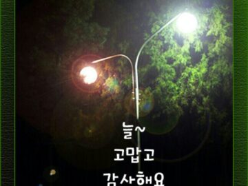 ◆ 지혜로운 사람과 어리석은 사람 ◆