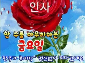 ◆ 김수환 추기경님의 8가지 명언 ◆