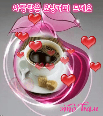 ◆ 덜 미워하고 더 사랑하겠습니다 ◆