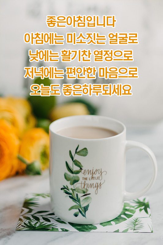 ◆ 잠시 스쳐가는 인연일지라도 ◆