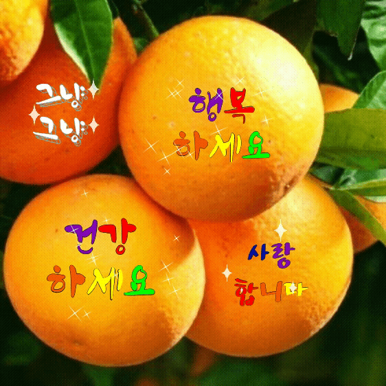 ◆ 서로 기대고 사는 인연 ◆