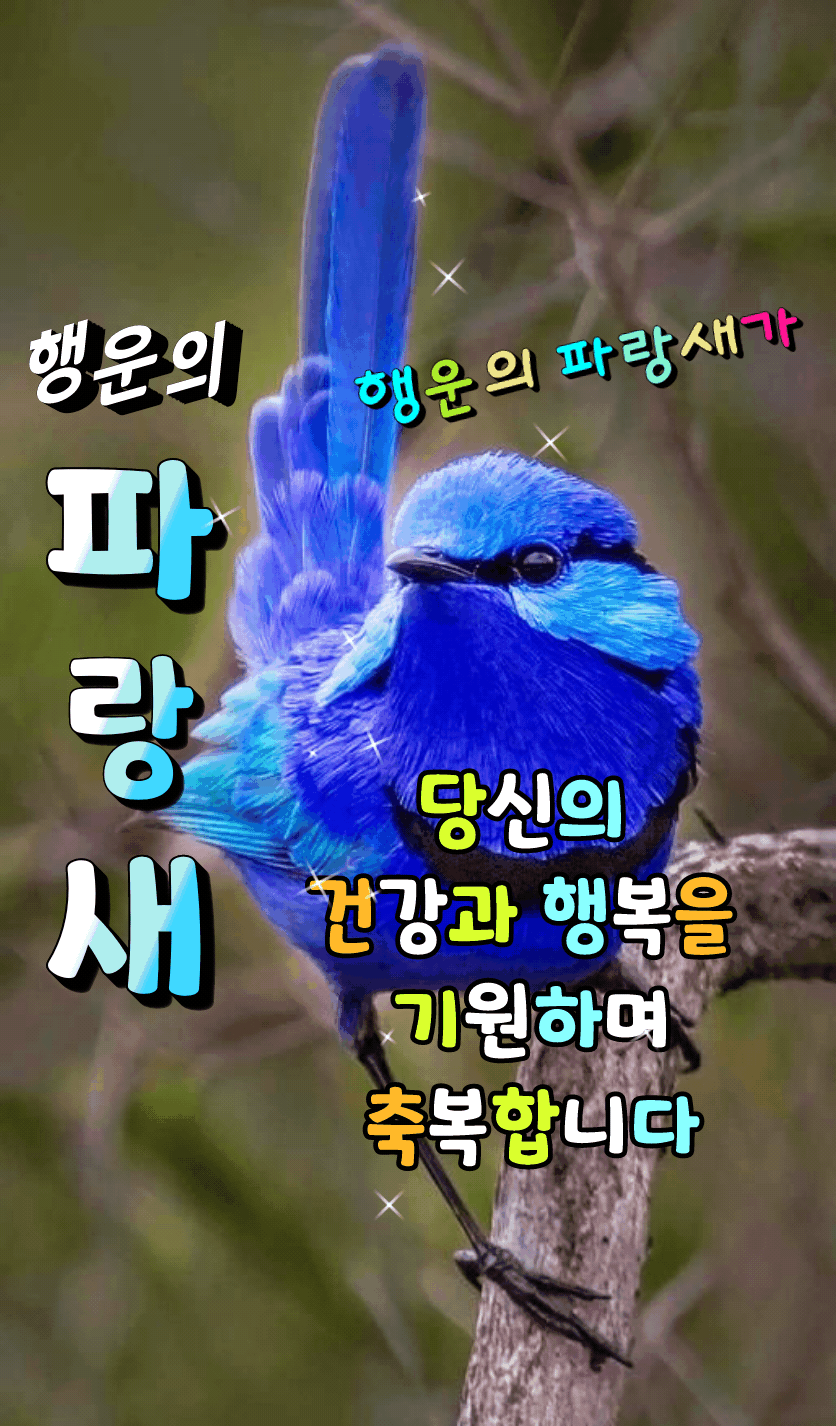 ◆ 나에게 하는 칭찬 ◆