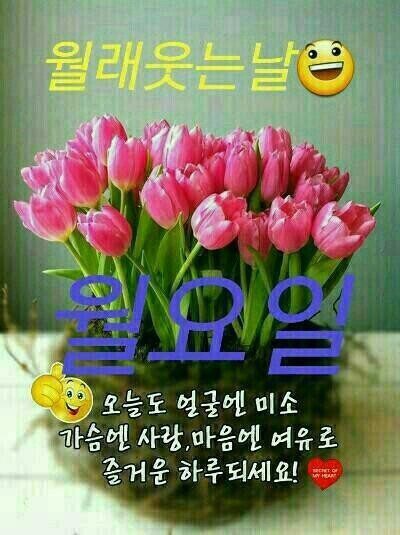 ◆ 오늘은 참 보고 싶습니다 ◆