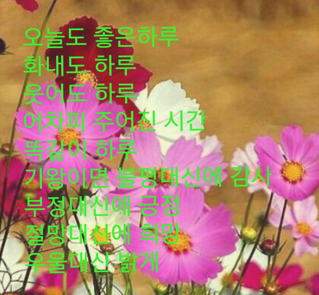 ◆ 공자의 사람을 보는 9가지 지혜 ◆