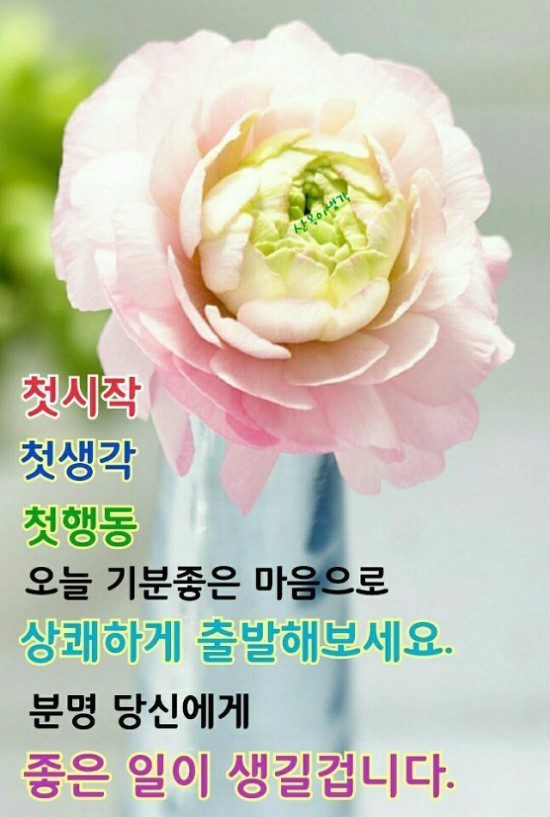 ◆ 당신은 잘 할 수 있습니다 ◆