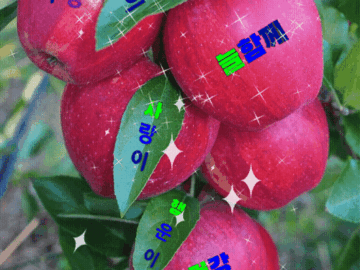 ◆ 당신의 습관입니다 ◆