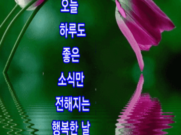 ◆ 바보가 된다는 것 ◆