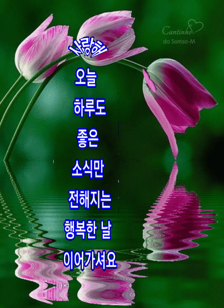 ◆ 바보가 된다는 것 ◆