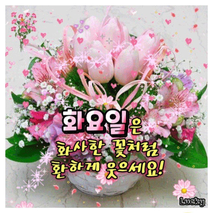 ◆ 좋아하는걸까? 사랑하는걸까? ◆