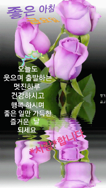 ◆ 하루를 사는 일 ◆