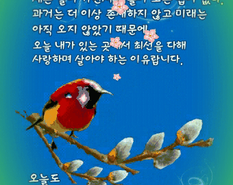 아토피피부염의 새로운 치료법과 예방법