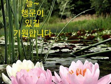 하루 3분만 투자하면 뇌 건강을 챙길 수 있다?