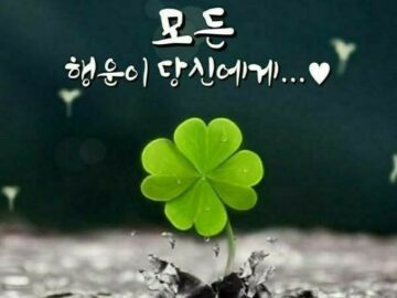 게으름이 아니라, 자기효능감 문제입니다