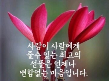 만져주기만 해도 면역력과 림프순환이 좋아집니다.