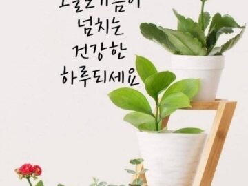 아프기 전에 연명치료 거부하는 법