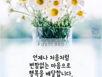검은 바나나를 전자레인지에 넣어 보세요.