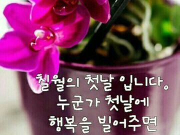 ‘이렇게’ 먹으면 당뇨까지 전부 잡힙니디.
