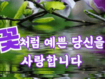 림프순환 마사지 순서대로 따라해보세요‼️